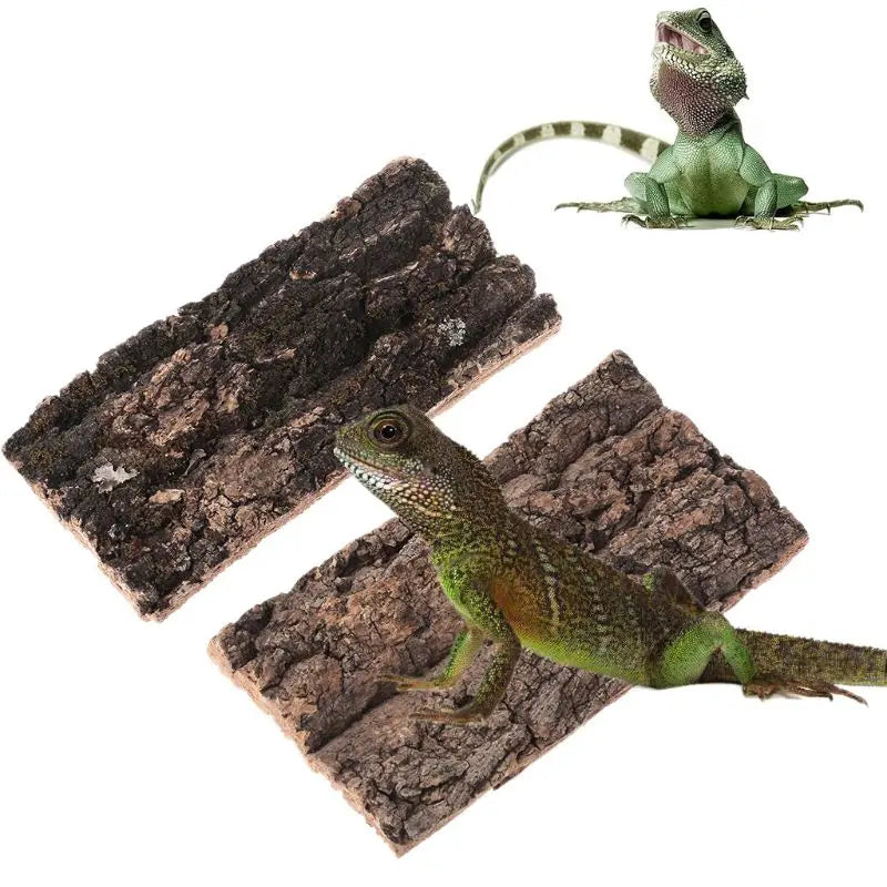 Écorce de liège naturelle pour terrarium – décoration & aire de bains pour reptiles