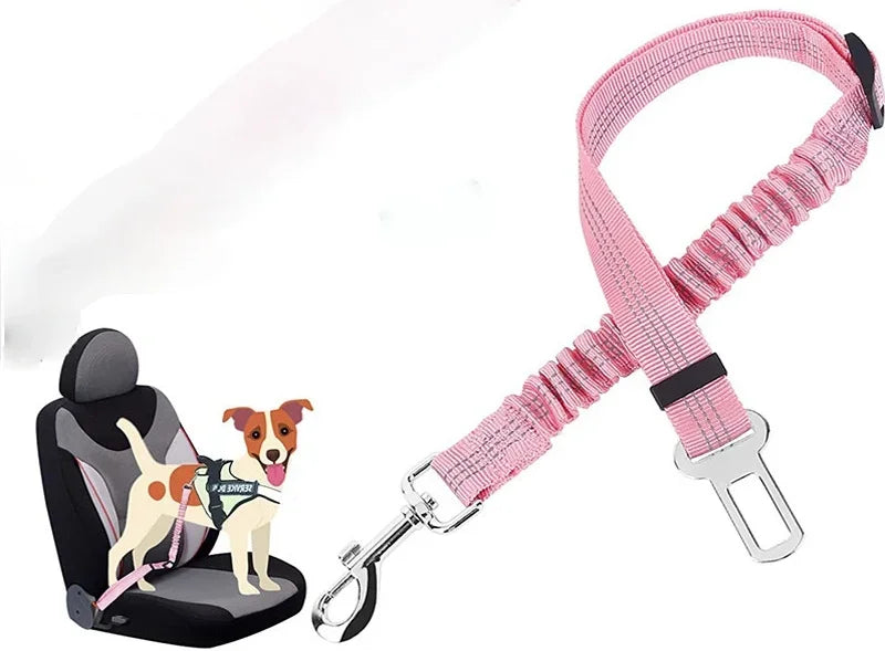 Ceinture de sécurité rétractable pour chien – laisse élastique réfléchissante