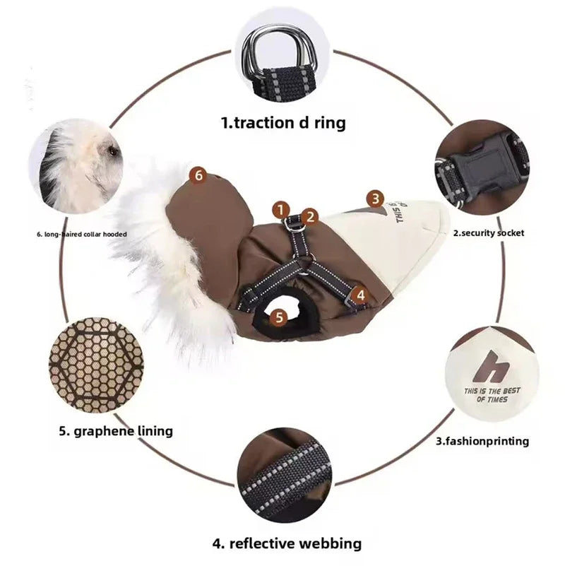 Manteau d'Hiver pour Chien avec Harnais Intégré