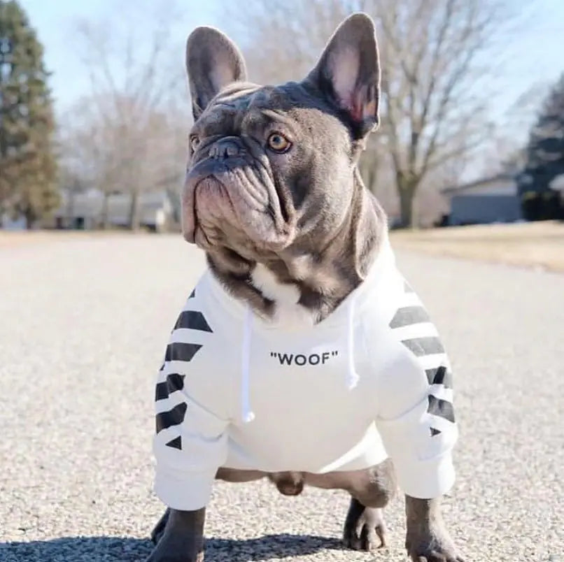Hoodie tendance en polaire pour petits chiens