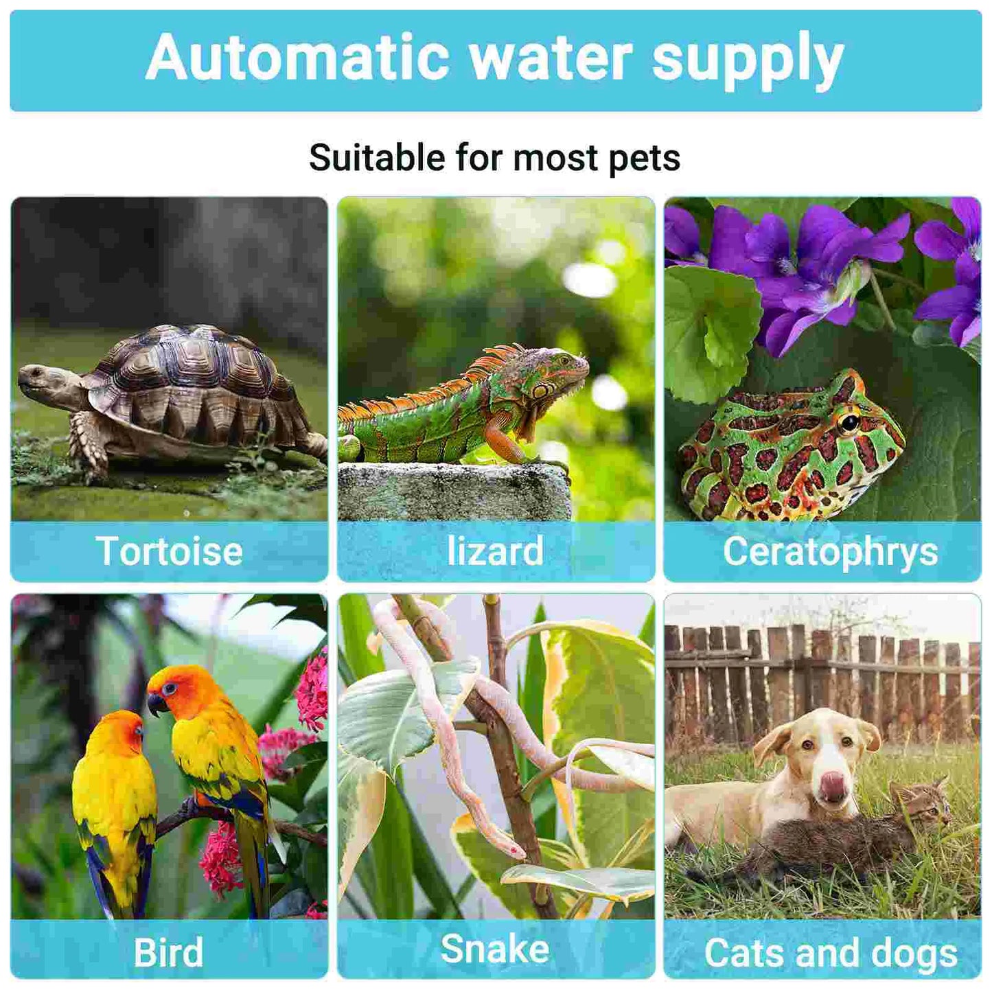 Abreuvoir automatique pour reptiles – distributeur d’eau pour terrarium, lézards, geckos et tortues