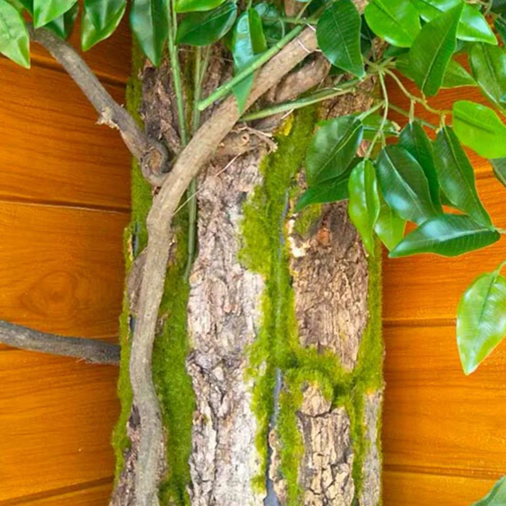 Décor d’écorce naturelle pour terrarium – Plateforme d’escalade reptile | Fond d’aménagement pour lézard, gecko, serpent