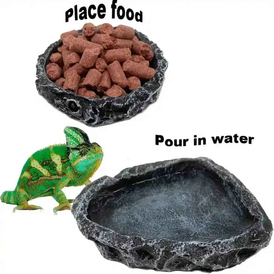 Bols d’alimentation et d’eau pour reptiles – Design roche naturelle pour dragon barbu et petits lézards, durable et non toxique