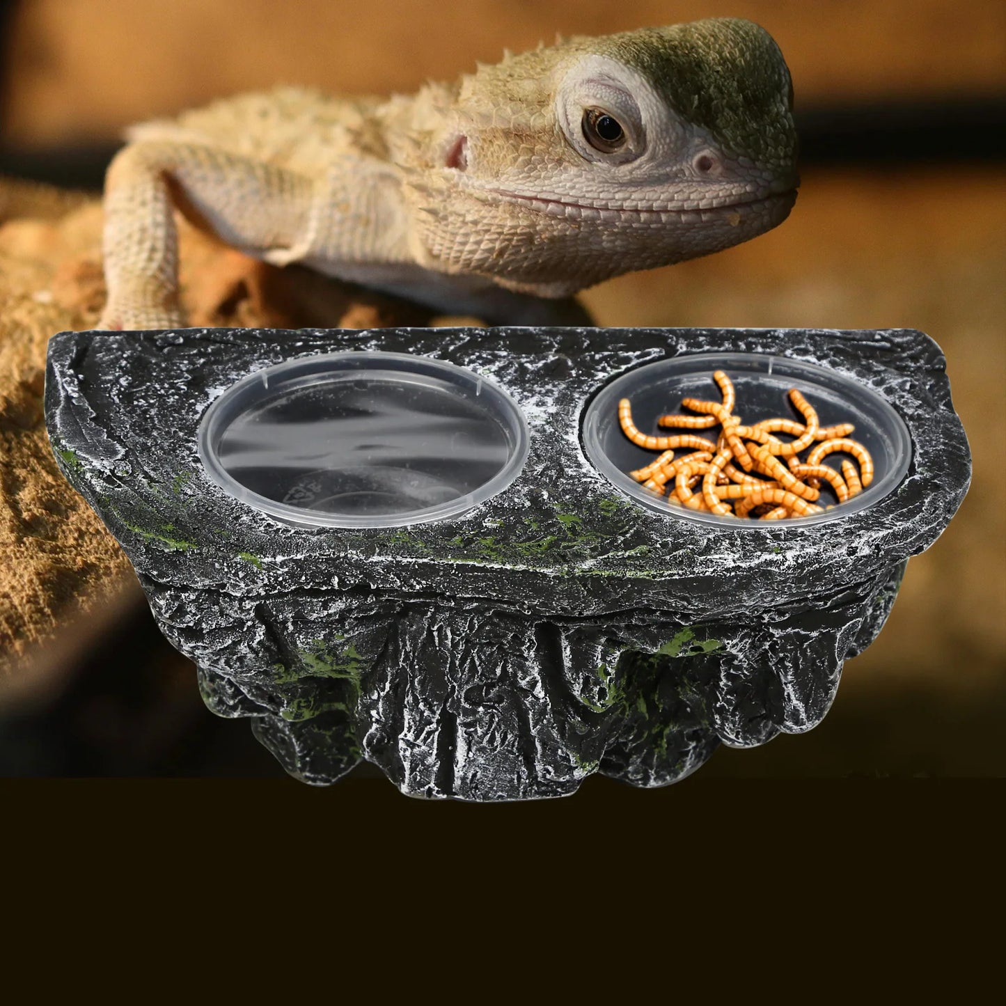 Plat d'alimentation pour reptiles en résine avec double bol, détachable, facile à nettoyer, ventouses, décor d’habitat pour dragon barbu