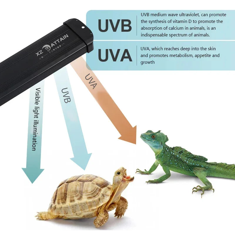Lampe UVB pour Reptiles 10.0 / 20.0 – Éclairage à Spectre Complet & Économie d’Énergie | Simulateur de Lumière Solaire