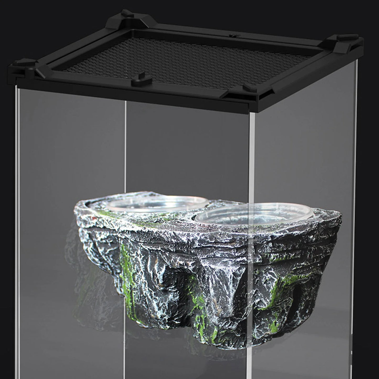 Plat d'alimentation pour reptiles en résine avec double bol, détachable, facile à nettoyer, ventouses, décor d’habitat pour dragon barbu