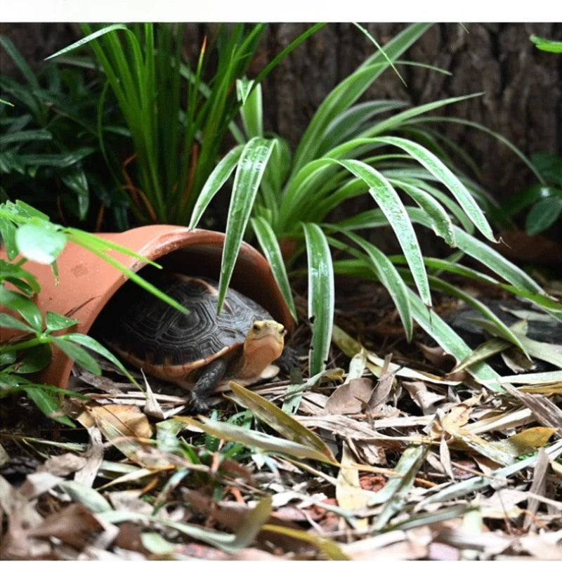 Feuilles de bambou naturelles pour literie de reptiles et tortues – 50 g