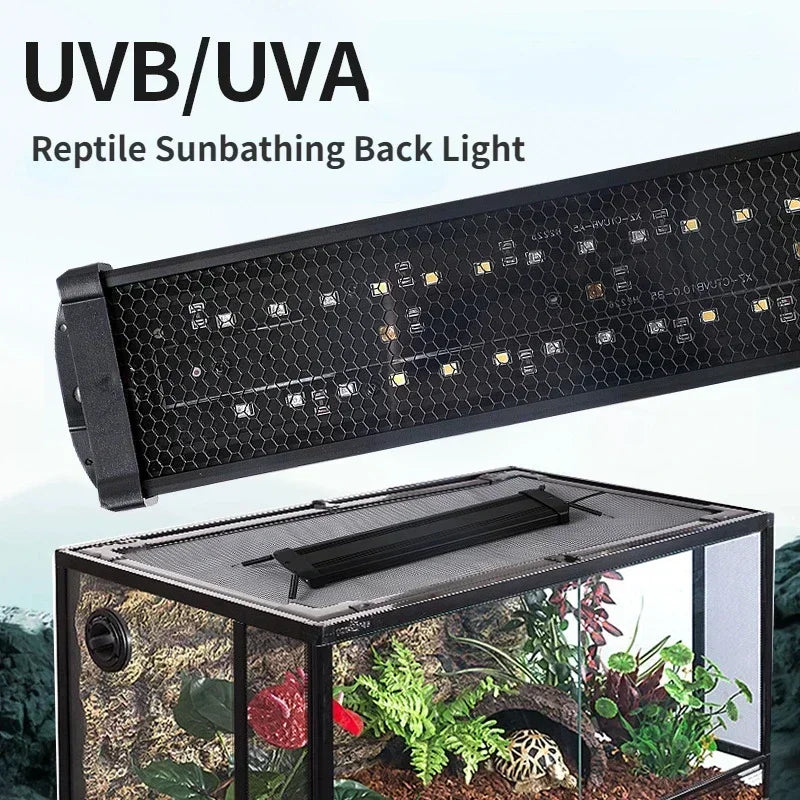 Lampe UVB pour Reptiles 10.0 / 20.0 – Éclairage à Spectre Complet & Économie d’Énergie | Simulateur de Lumière Solaire