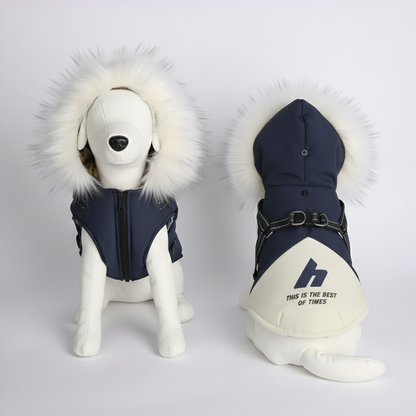 Manteau d'Hiver pour Chien avec Harnais Intégré