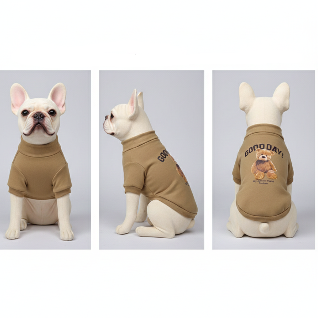 Pull Ours pour Chien & Chat - Design Adorable et Chaleur Douillette
