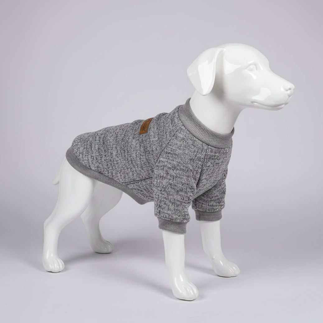 Sweat d'Hiver Décontracté pour Petit Chien & Chat - Confort et Style au Quotidien