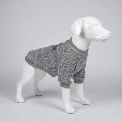Sweat d'Hiver Décontracté pour Petit Chien & Chat - Confort et Style au Quotidien
