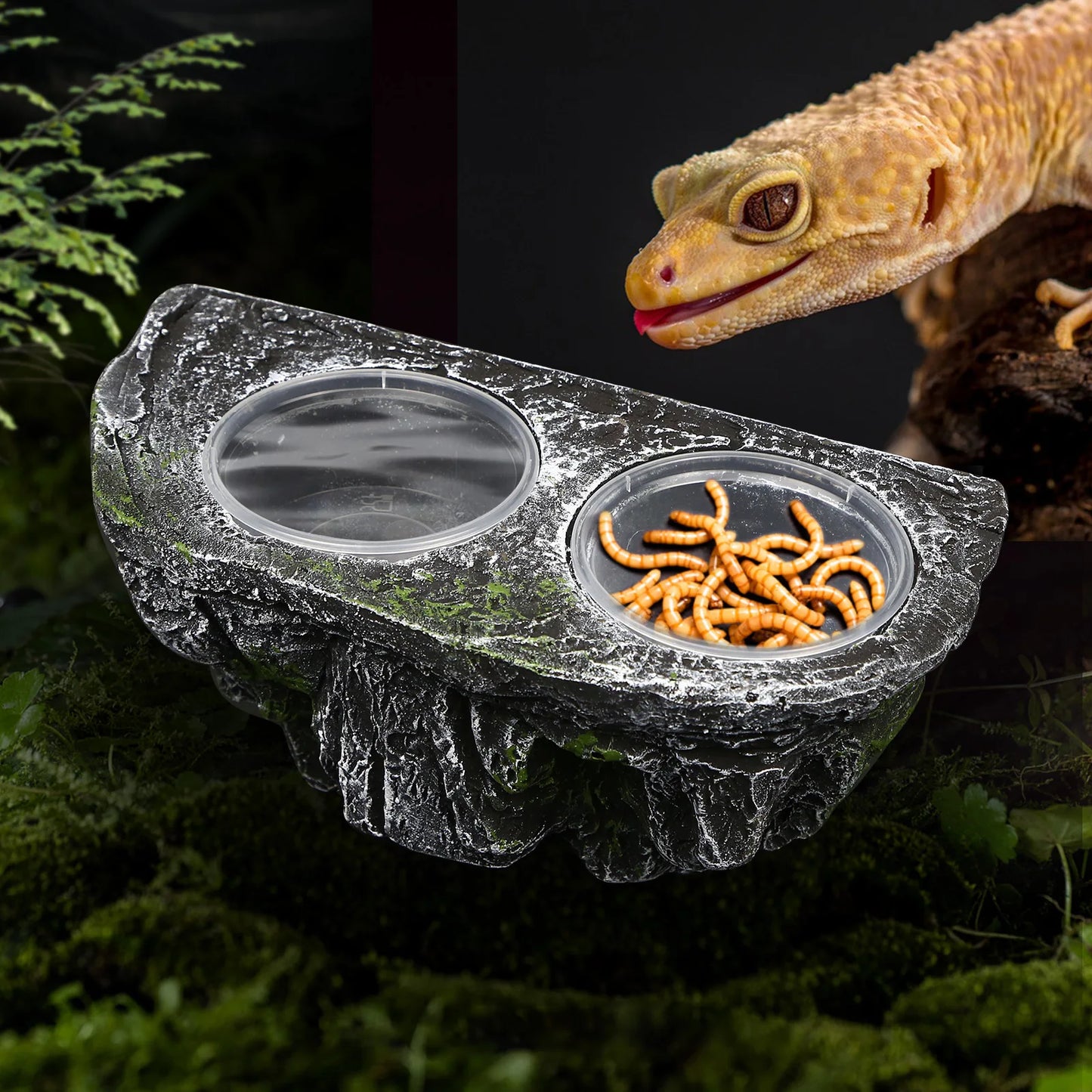 Plat d'alimentation pour reptiles en résine avec double bol, détachable, facile à nettoyer, ventouses, décor d’habitat pour dragon barbu