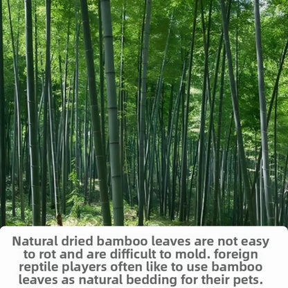 Feuilles de bambou naturelles pour literie de reptiles et tortues – 50 g