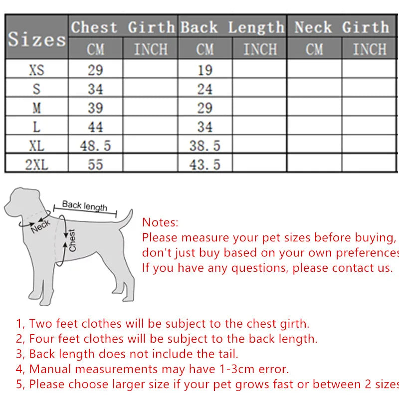 Pull Ours pour Chien & Chat - Design Adorable et Chaleur Douillette