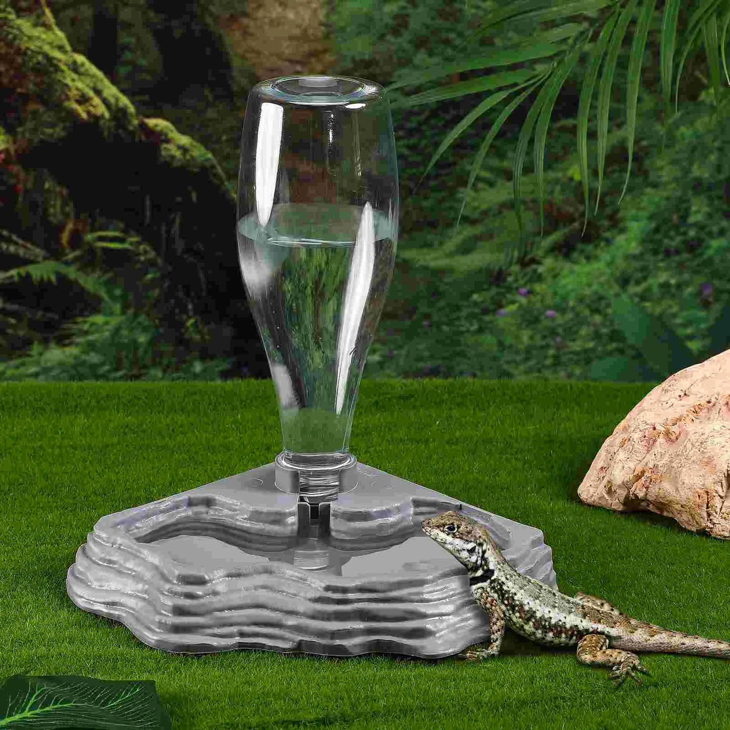 Abreuvoir automatique pour reptiles – distributeur d’eau pour terrarium, lézards, geckos et tortues