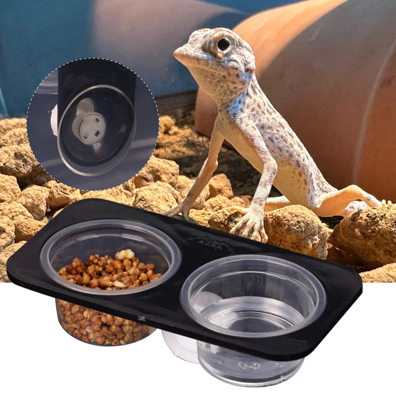 Mangeoire pour reptiles avec ventouse – bol d’alimentation pour terrarium, lézard, gecko, tortue et caméléon