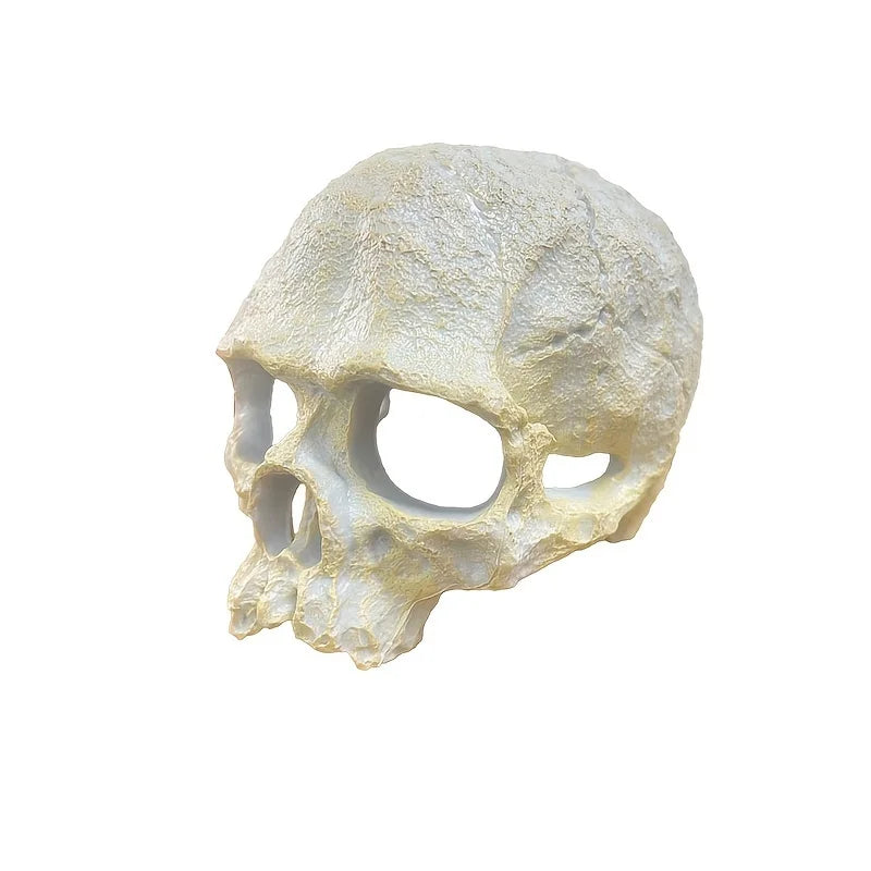 Crâne décoratif d’aquarium pour reptiles et vivariums