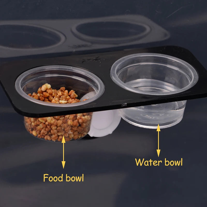 Mangeoire pour reptiles avec ventouse – bol d’alimentation pour terrarium, lézard, gecko, tortue et caméléon