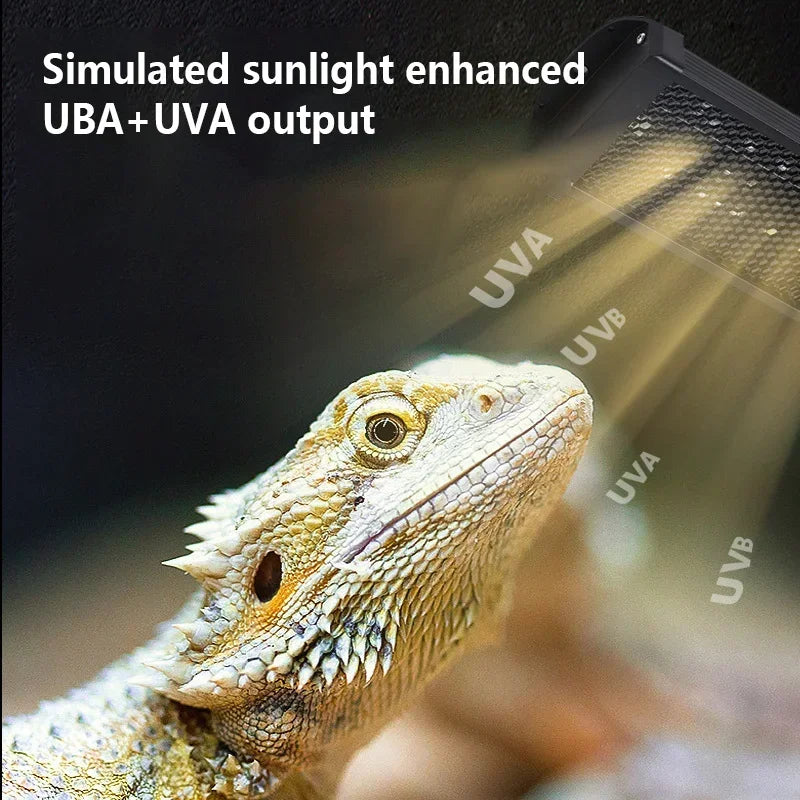 Lampe UVB pour Reptiles 10.0 / 20.0 – Éclairage à Spectre Complet & Économie d’Énergie | Simulateur de Lumière Solaire