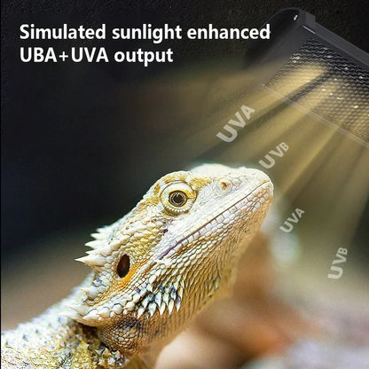 Lampe UVB pour Reptiles 10.0 / 20.0 – Éclairage à Spectre Complet & Économie d’Énergie | Simulateur de Lumière Solaire