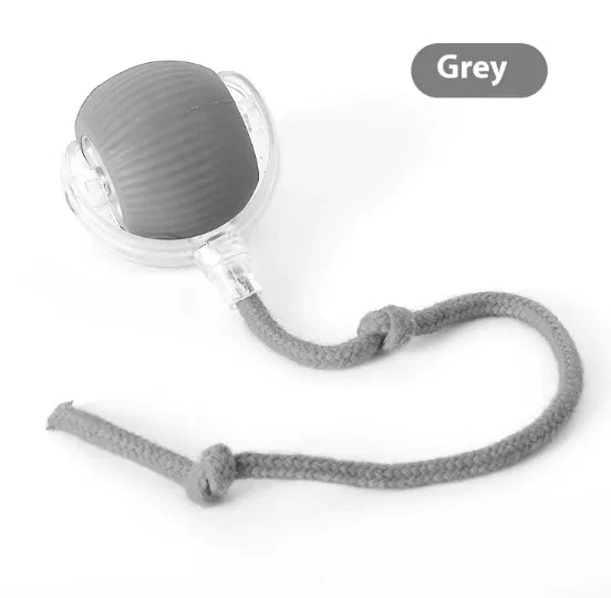 Balle interactive pour chats