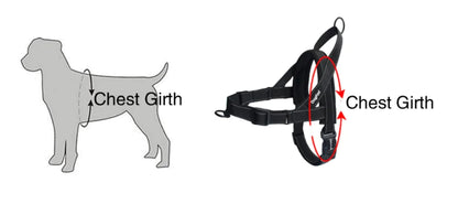Comfort + Safety Dog Harness – Adjustable and Robust