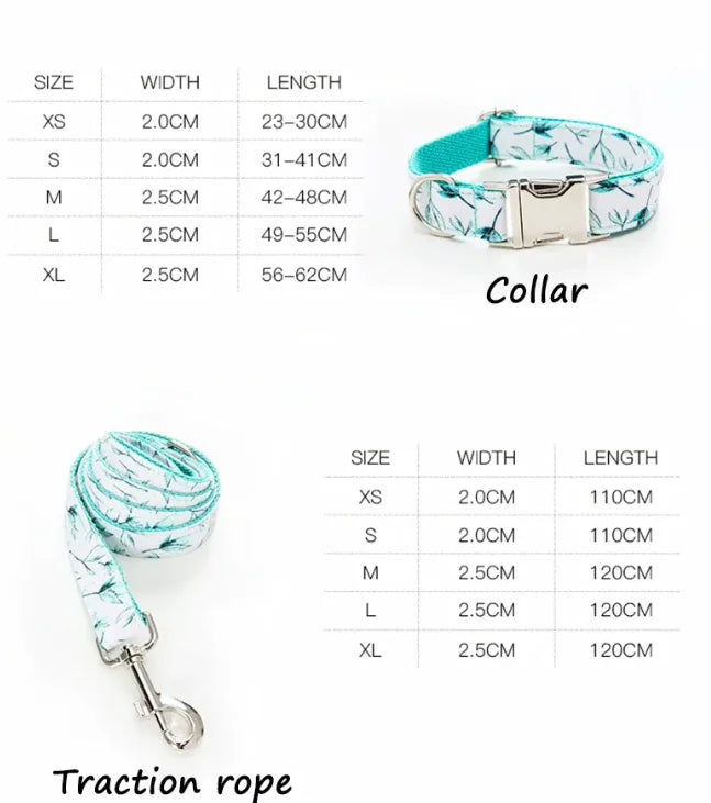 Laisse et collier pour animaux