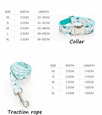 Laisse et collier pour animaux