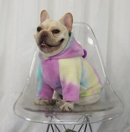 Tenue d'hiver française avec capuche pour chiens, sweat à capuche tie-dye