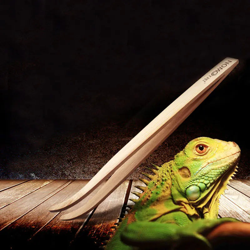 Pince d’alimentation en bambou écologique – Soins pour reptiles