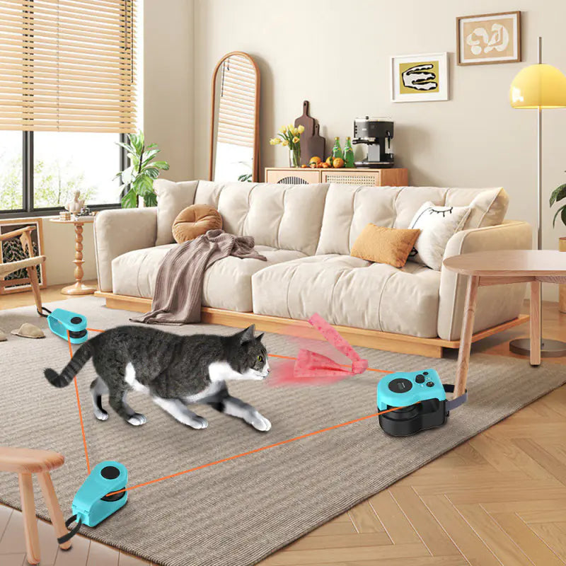 Jouet interactif pour la perte de poids pour chat