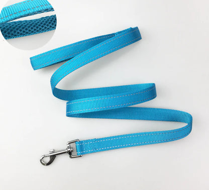 Comfort + Safety Dog Harness – Adjustable and Robust