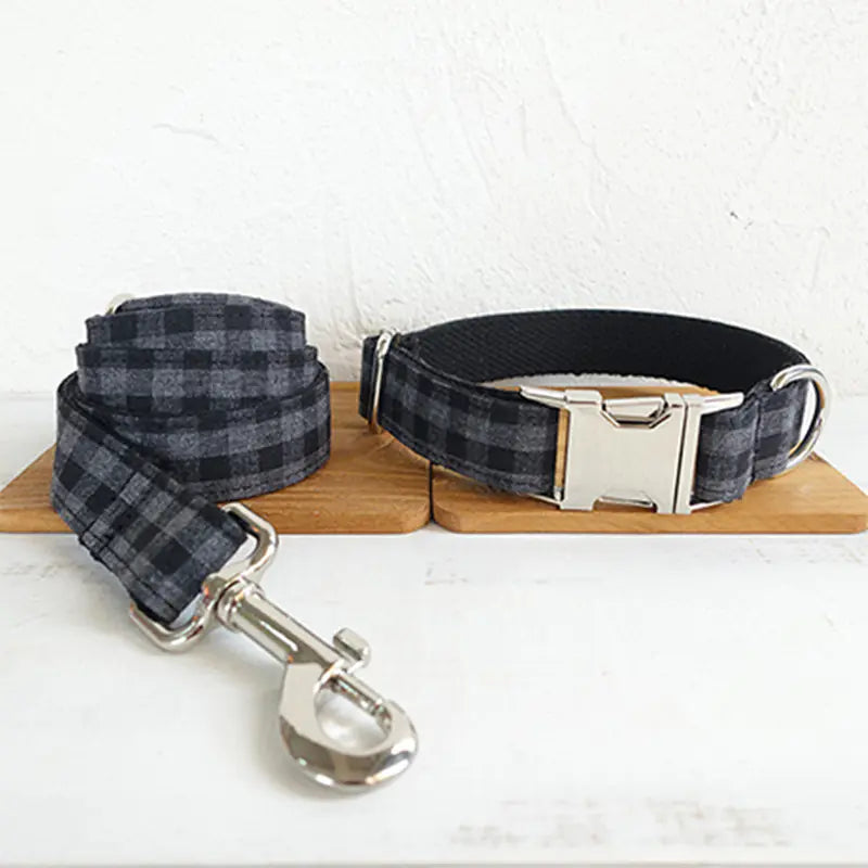 Ensemble collier et laisse pour chien