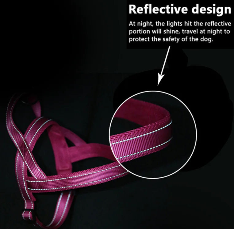 Harnais confort + sécurité pour chien – Ajustable et robuste