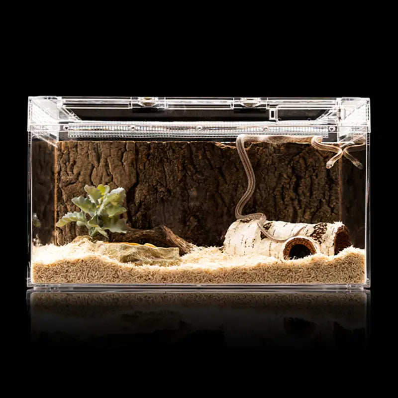 Caverne pour reptiles en bois de bouleau artificiel – Décoration de terrarium