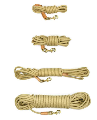 Training leash for medium and large dogs – Sturdy and versatile