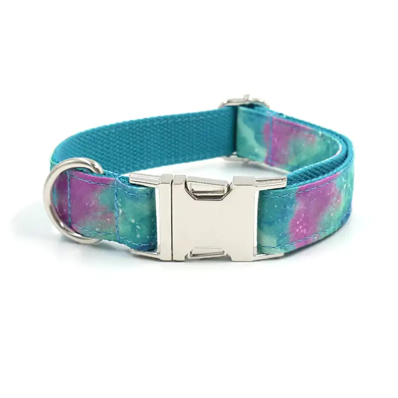 Collier styler pour chien