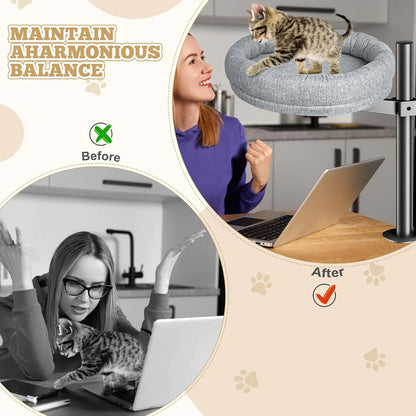 Cozy Spin Bed for Cats and Small Dogs – Ultra-Comfortable Plush